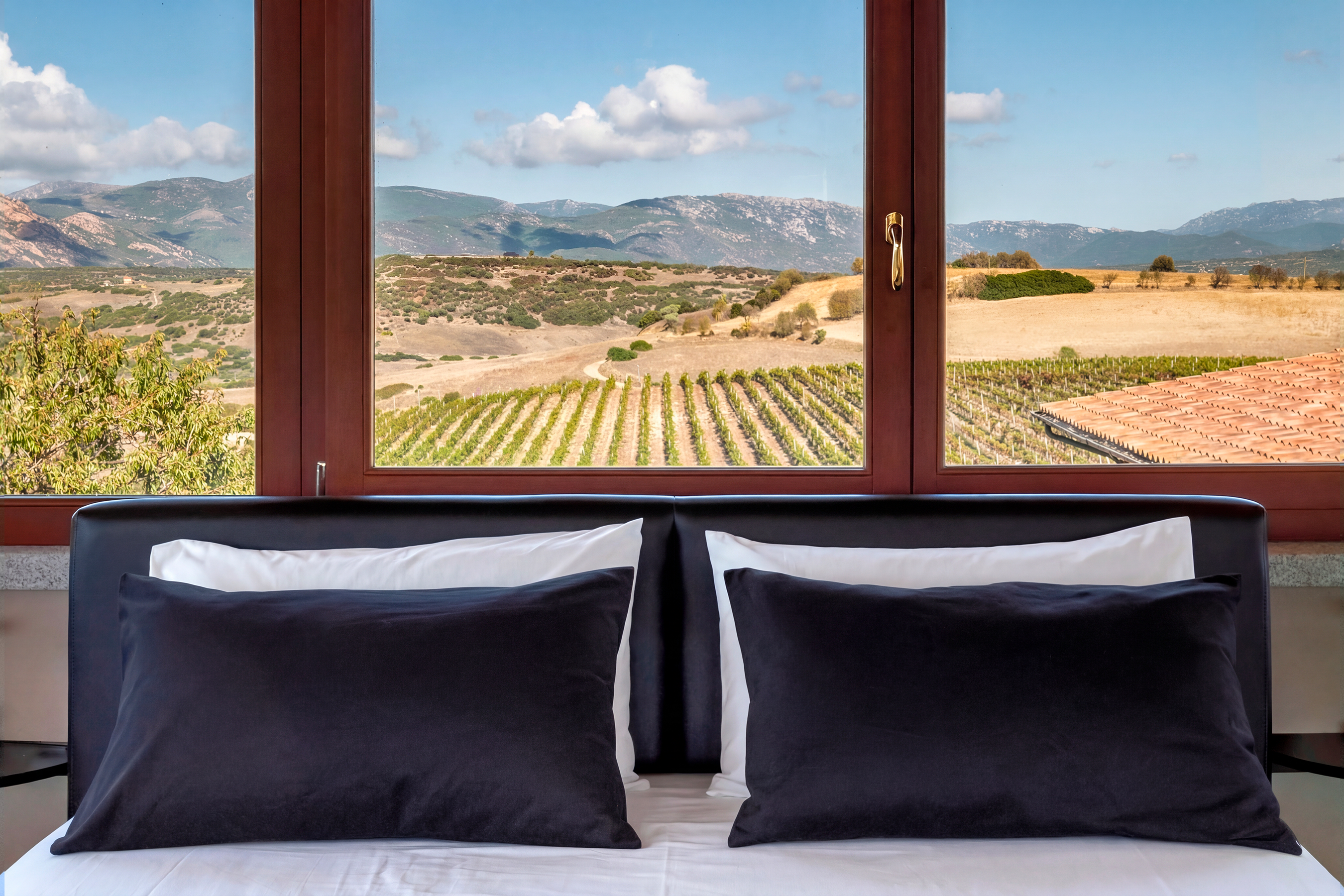 Room with view