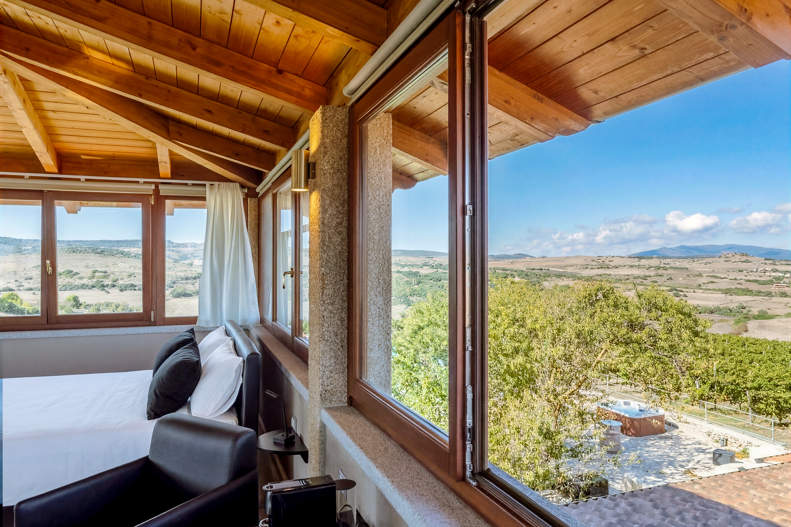 Vineyard view